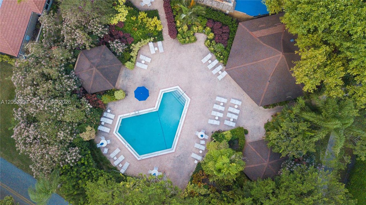 В аренду: $1,800 (1 спален, 1 ванн, 914 Квадратных фут)