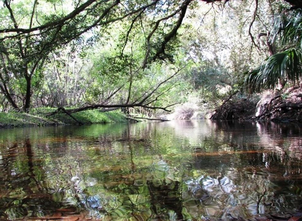 На продажу: $28,000 (0.23 acres)