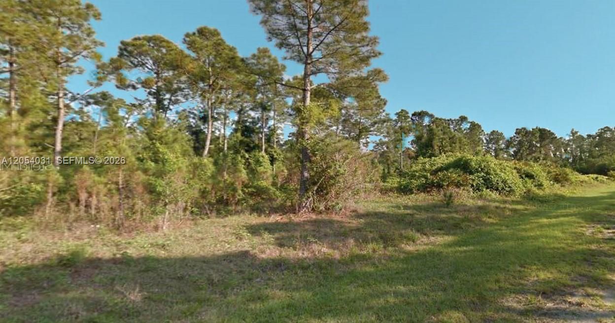 На продажу: $28,000 (0.23 acres)