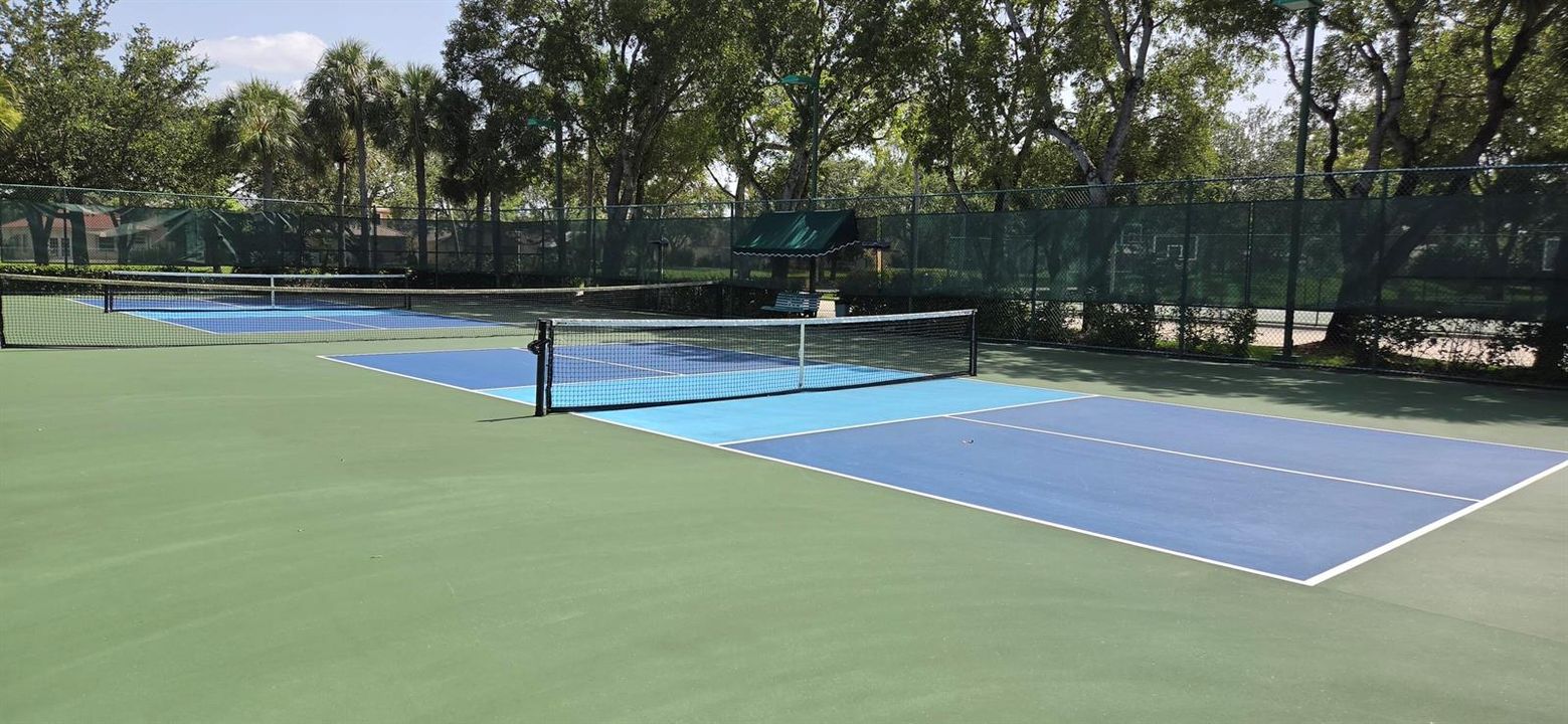 Pickle Ball