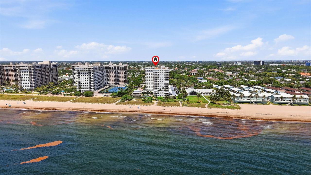 56_aerial view