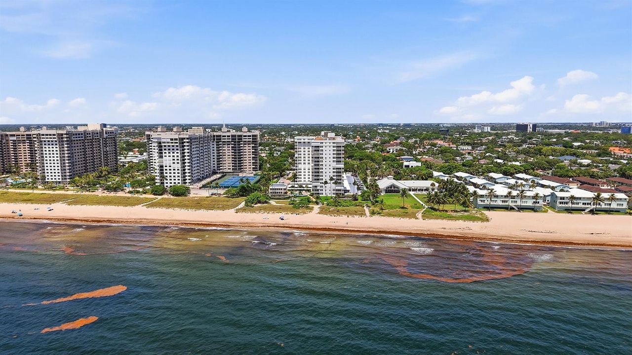 45_aerial view