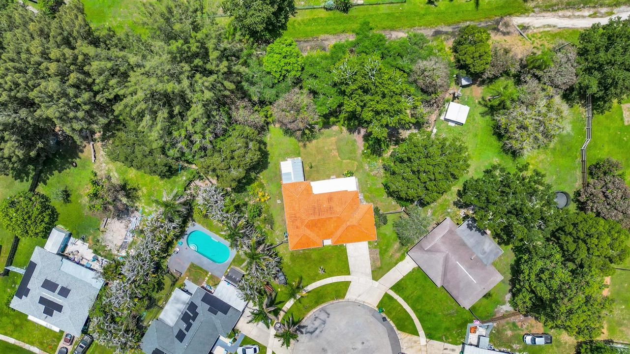 45_dji_0682
