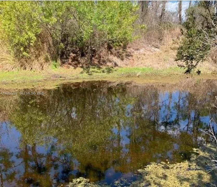 En Venta: $18,900 (0.26 acres)