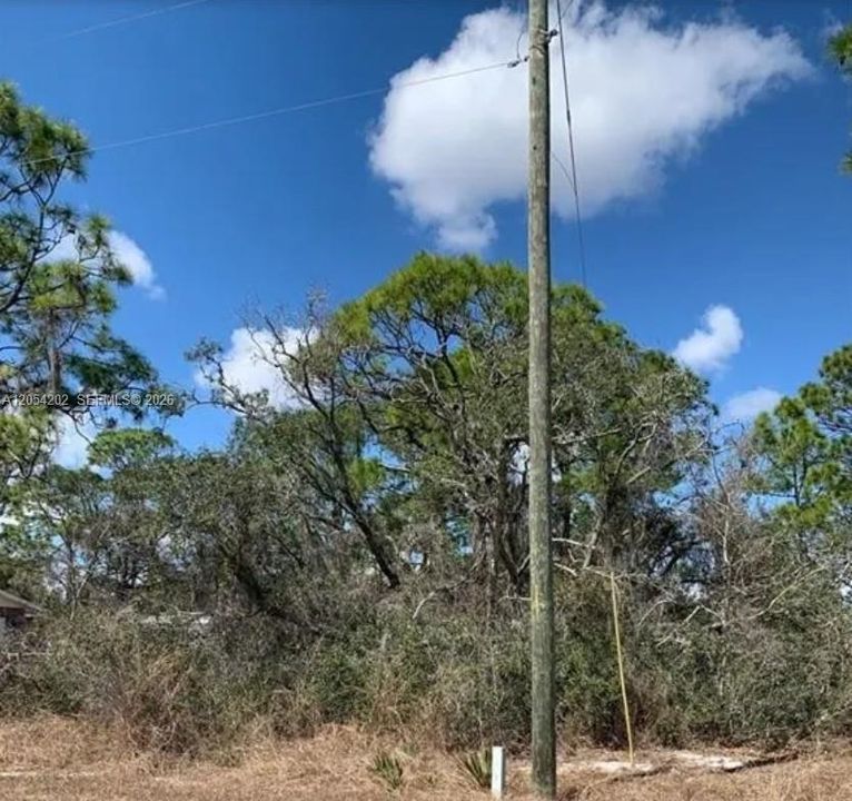 En Venta: $18,900 (0.26 acres)
