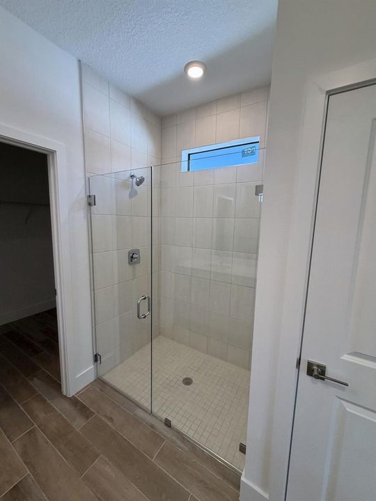 lot 17 primary bath shower