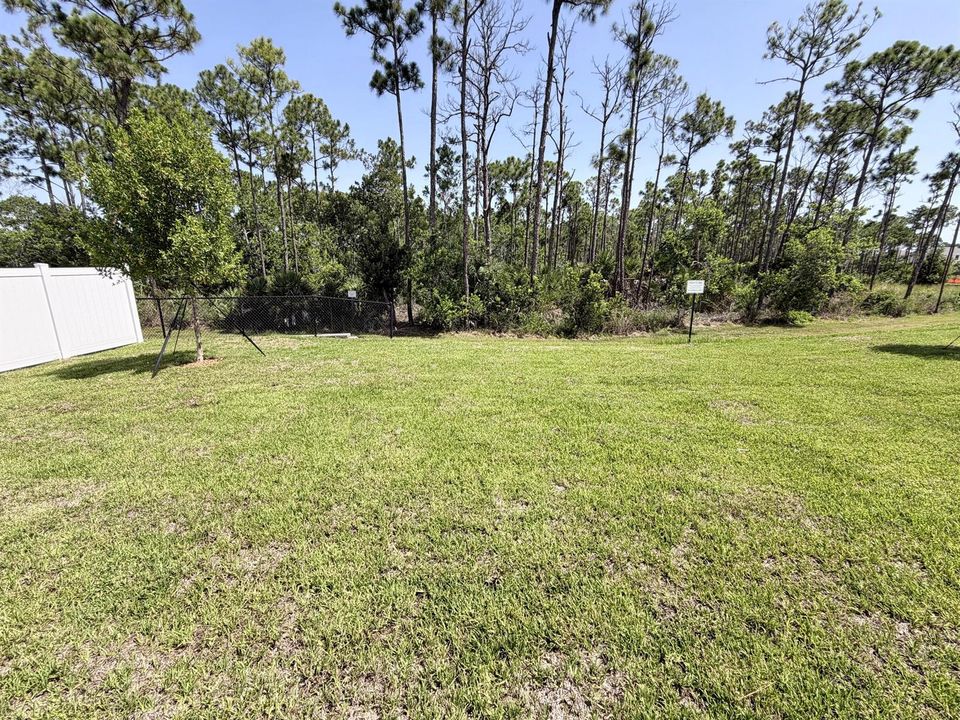 Lot 17 backyard