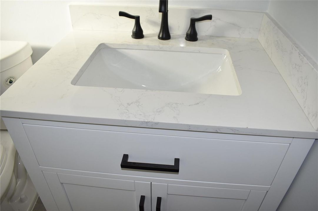 New Sink & Vanity