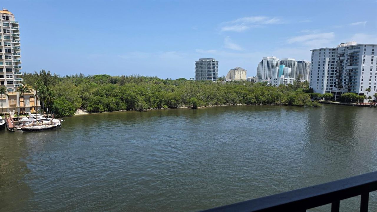 direct view of Bonnet House preserve