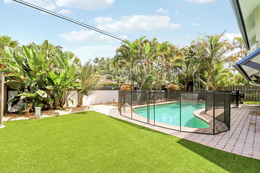 Backyard/Pool