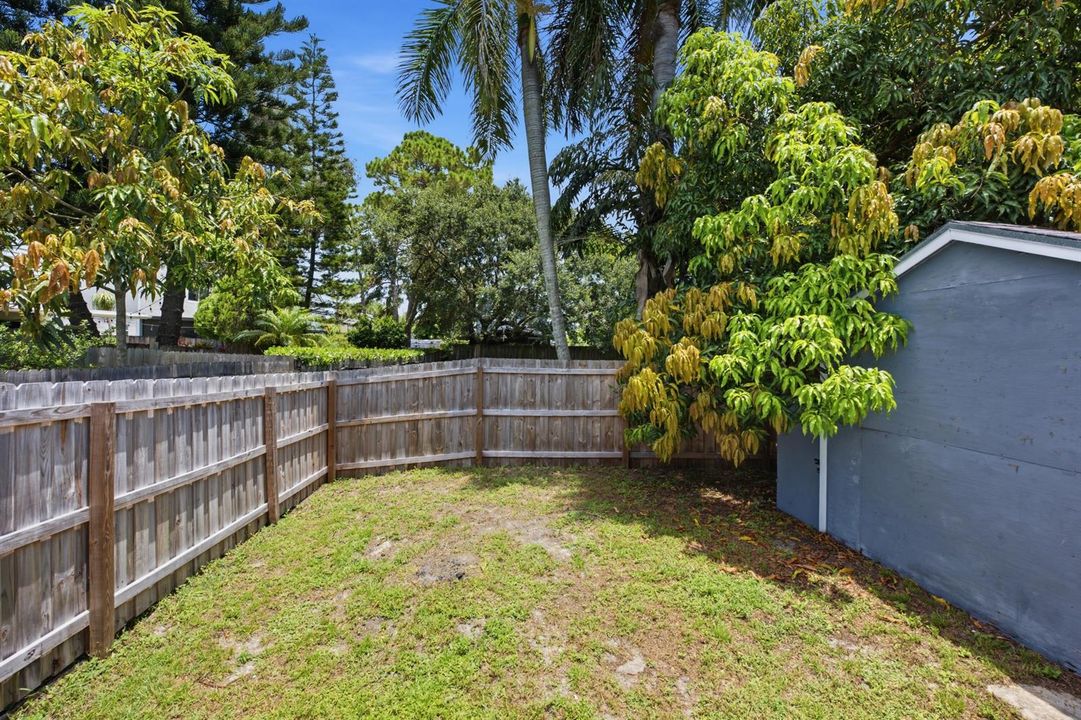 Backyard