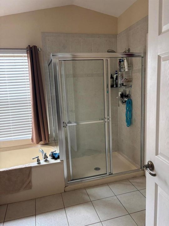 master_bathroom_2