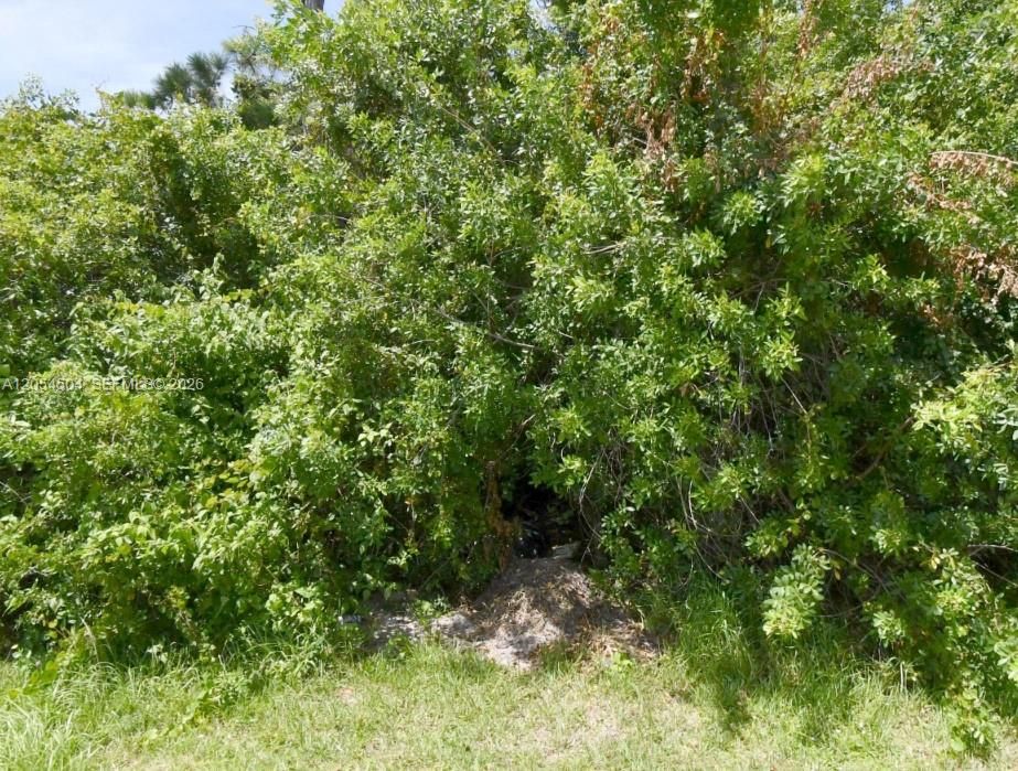 待售: $154,999 (0.23 acres)