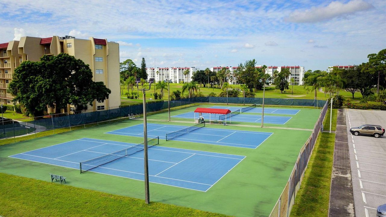 Via Poinciana (9)