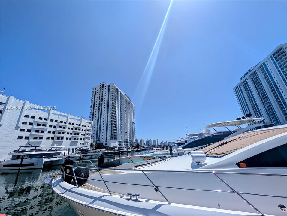 View from Marina