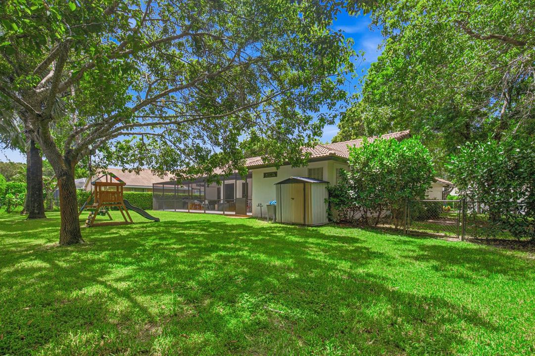 Backyard (2)