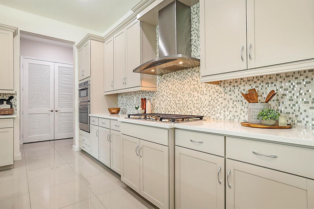 Gas Cooktop with Stainless Steel Hood
