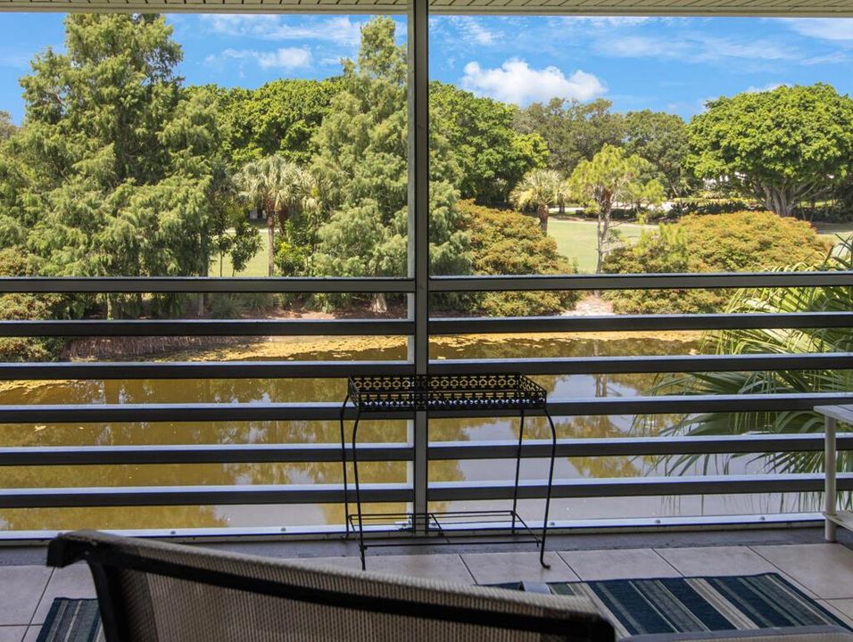 Patio View