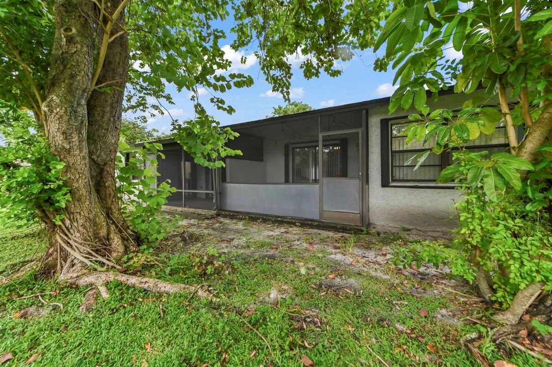 22 Backyard 01