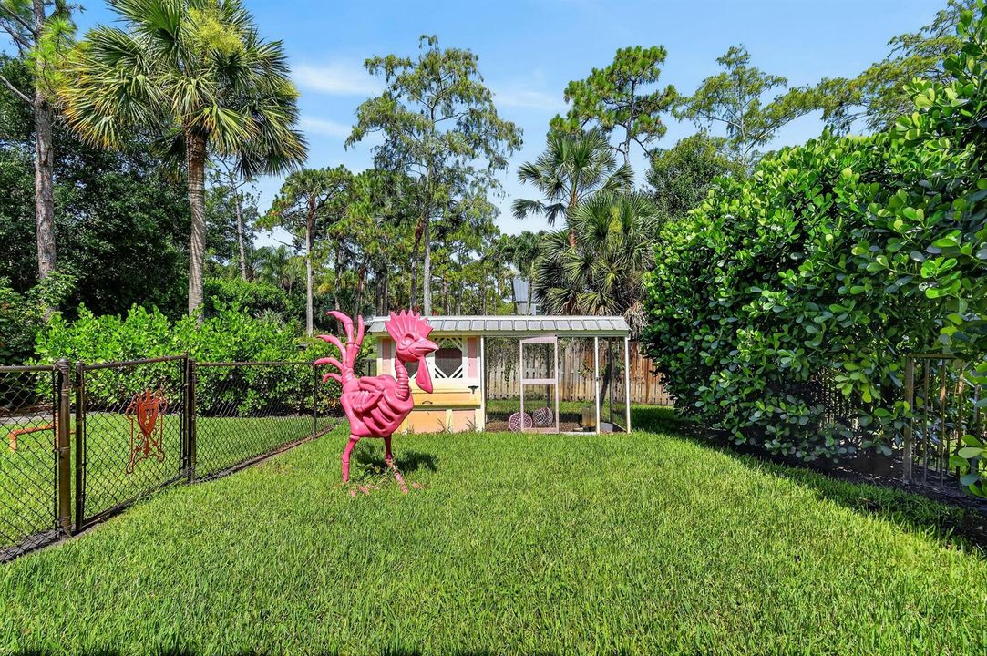 Chicken Coop