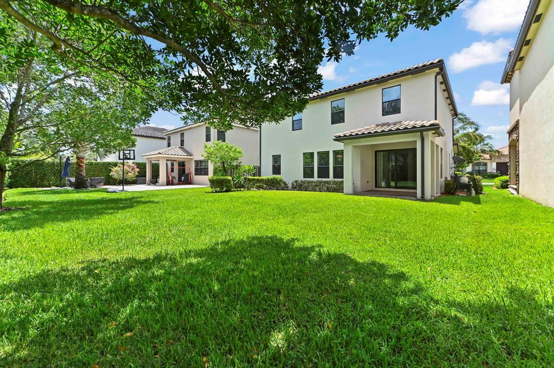 34 Backyard 01