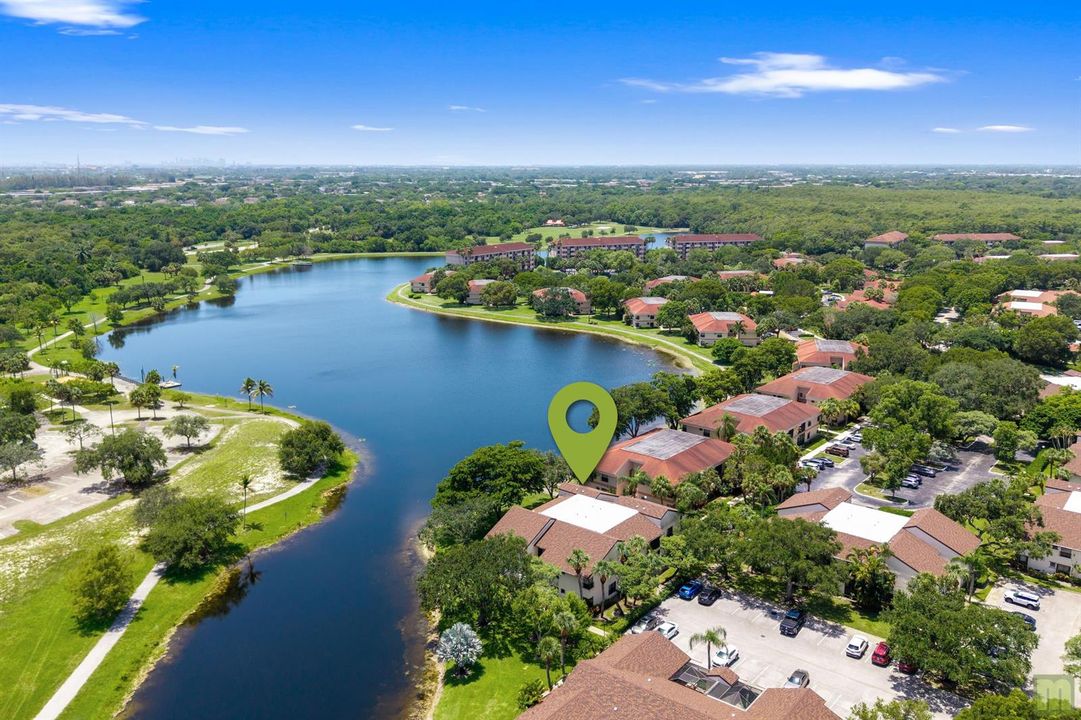 Drone View1
