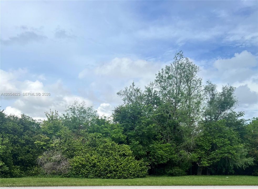 For Sale: $15,600 (0.26 acres)