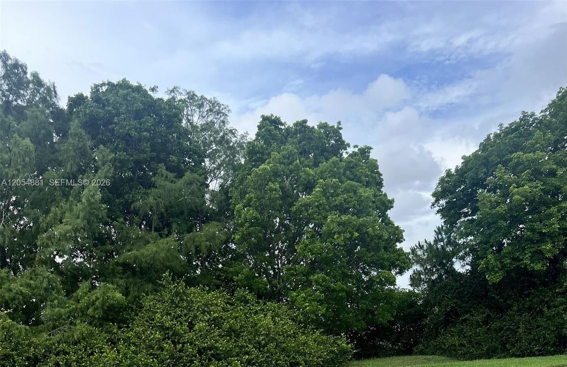 待售: $8,400 (0.17 acres)