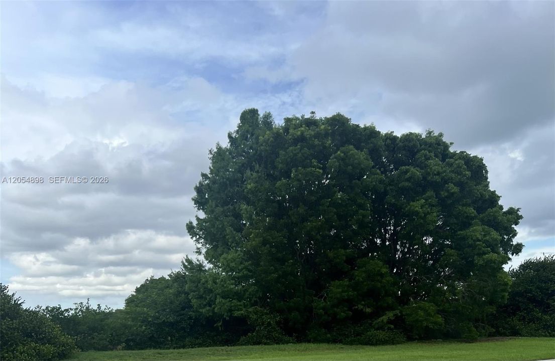 For Sale: $10,000 (0.10 acres)