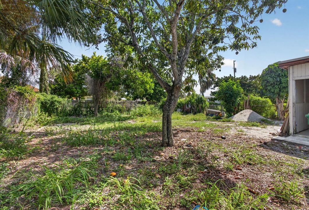 Backyard