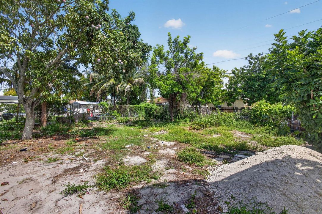 Backyard