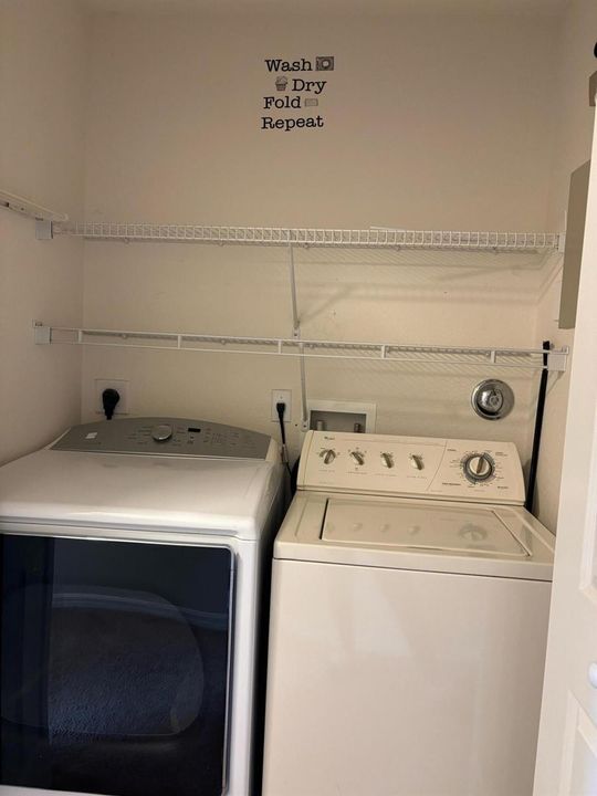 image8 (3)