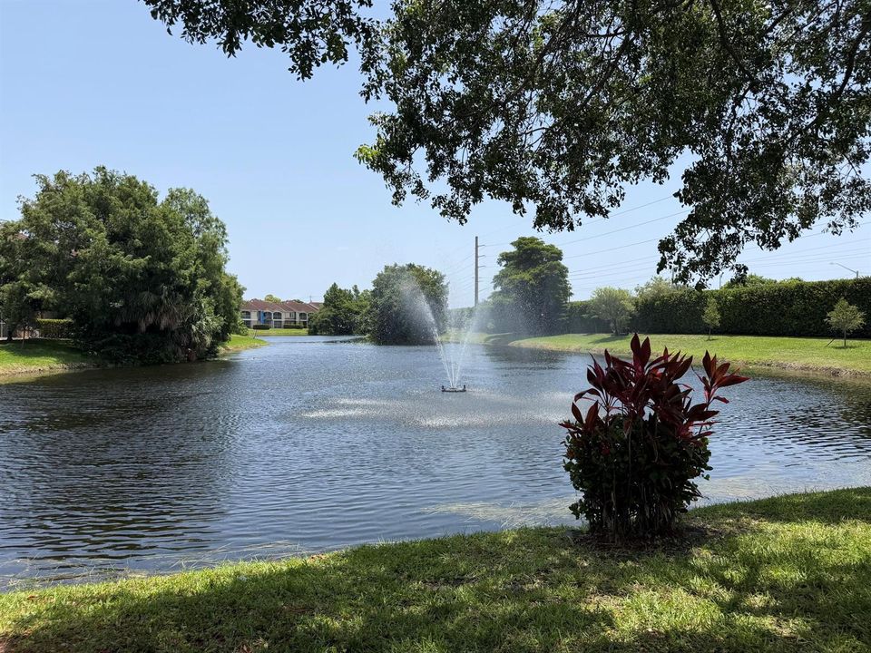 BEAUTIFUL LAKE IN COMMUNITY