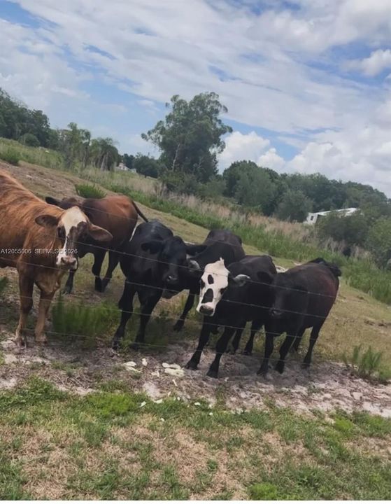 En Venta: $115,000 (2 camas, 2 baños, 0 Pies cuadrados)