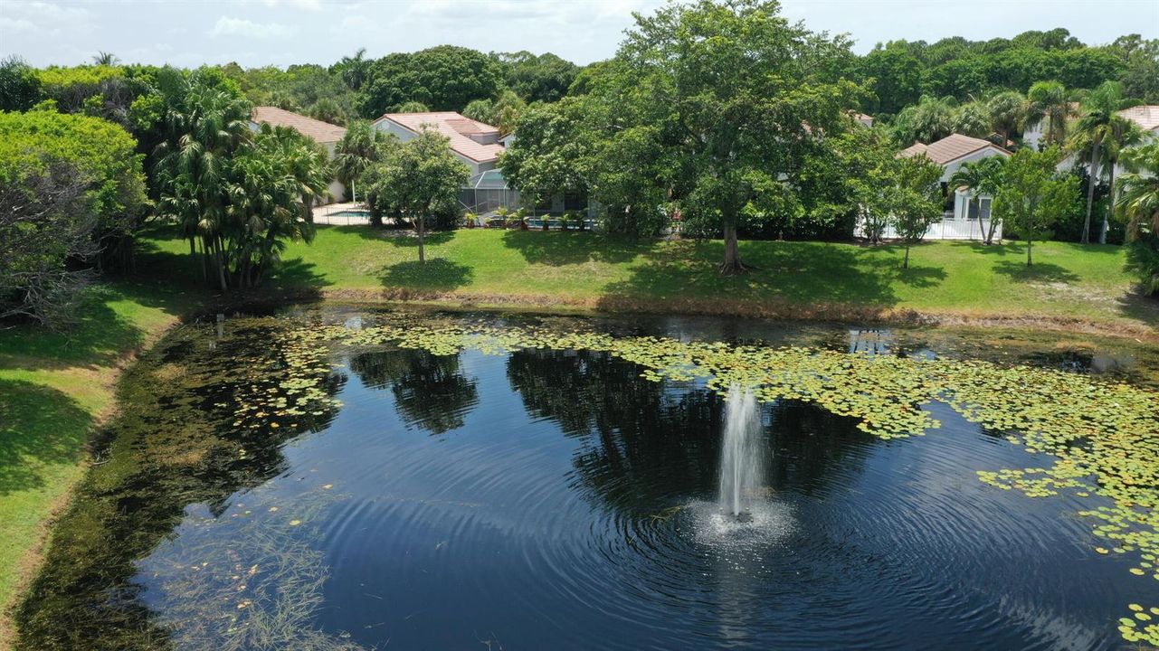 DJI_0491