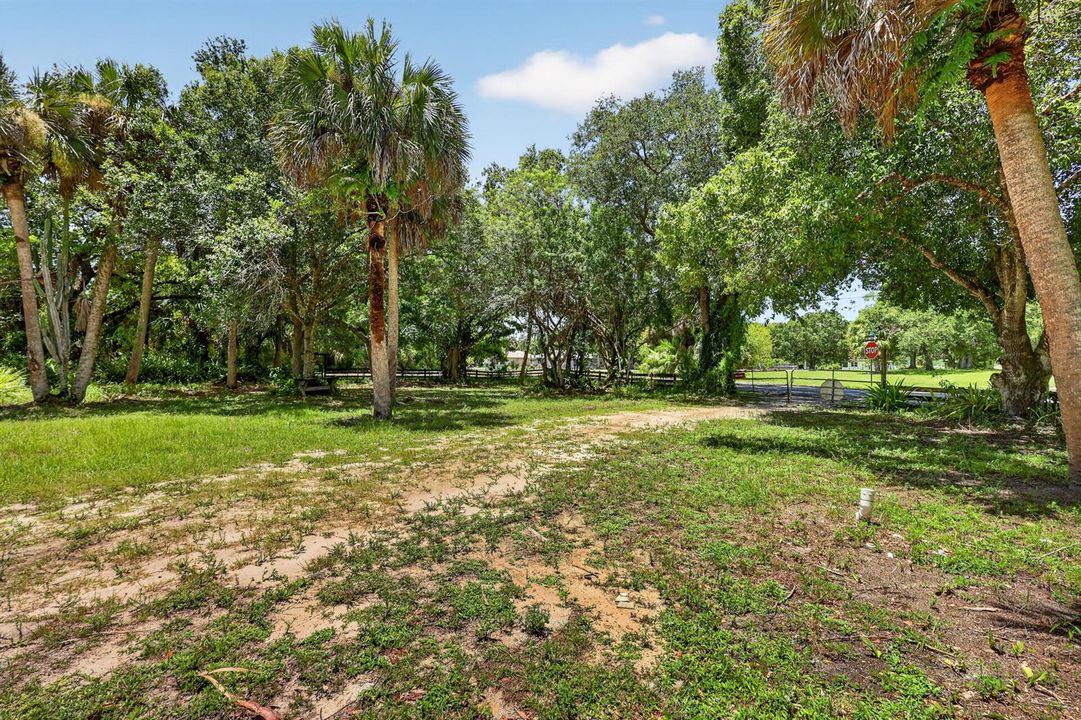 Huge Yard