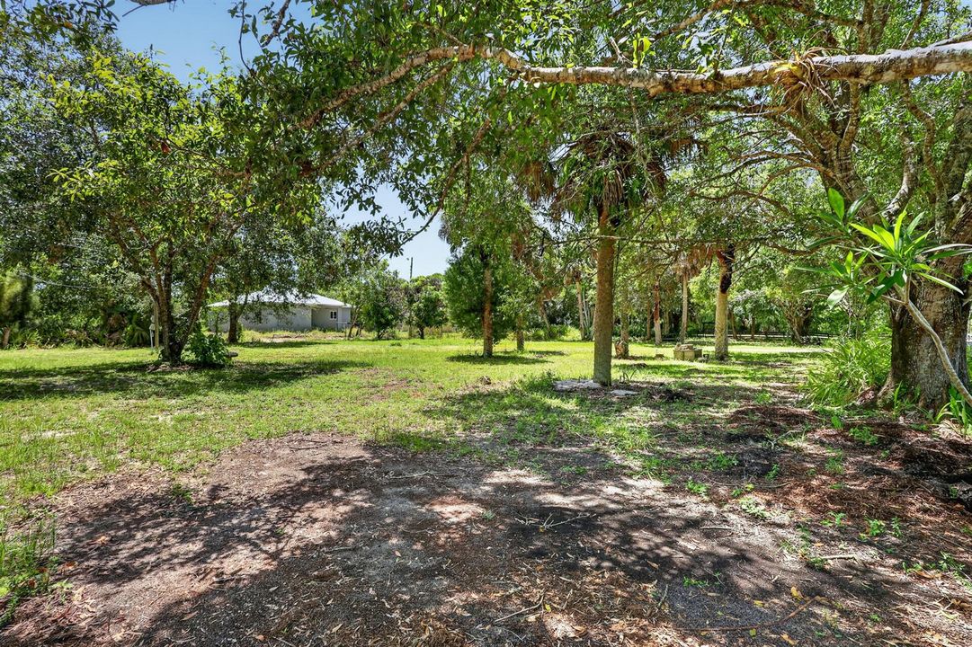 Yard