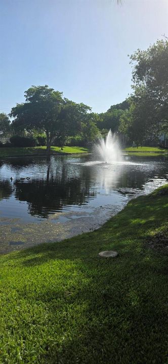 Pond