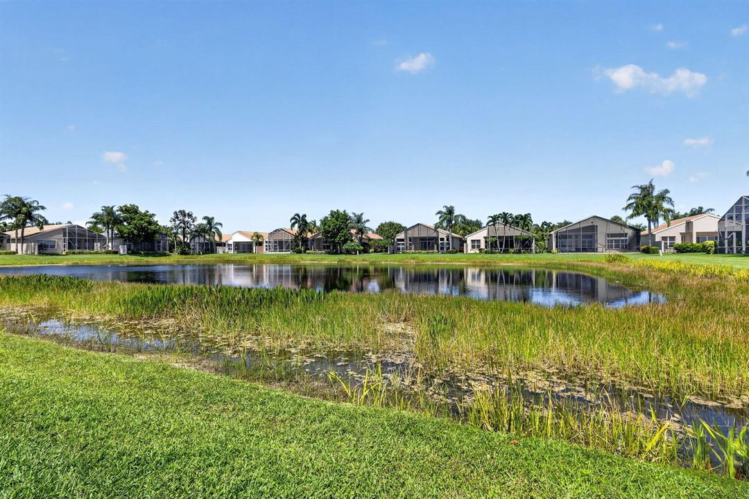Lake view
