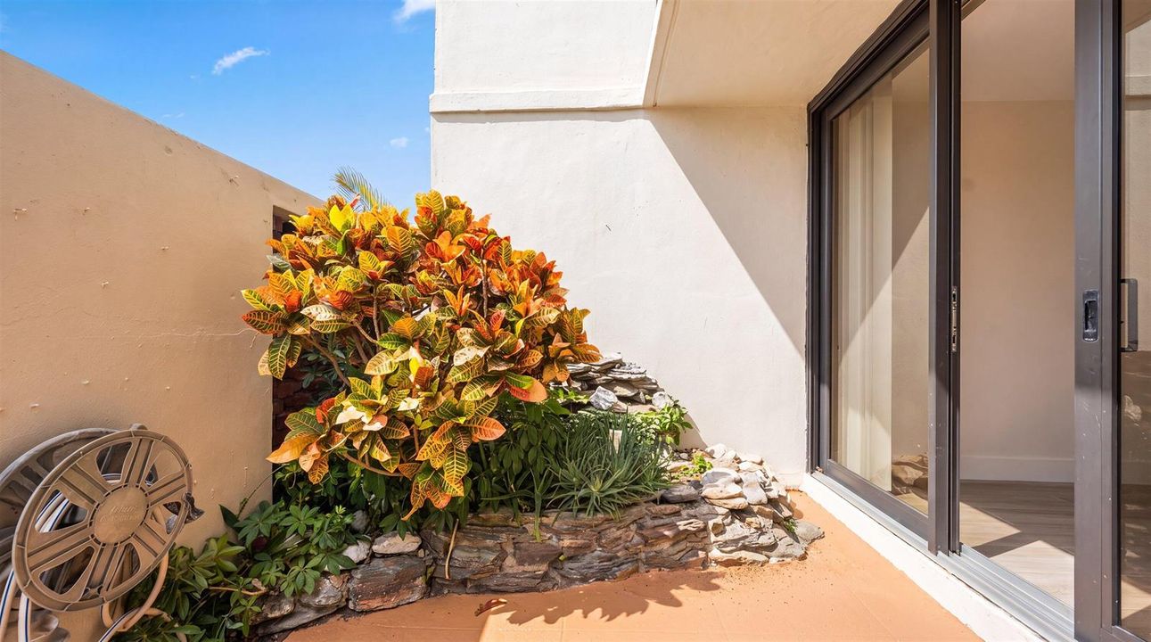 Garden on patio
