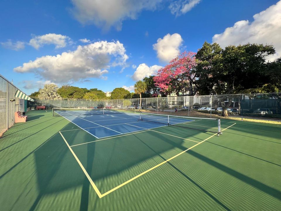 Tennis-Pickleball (2)