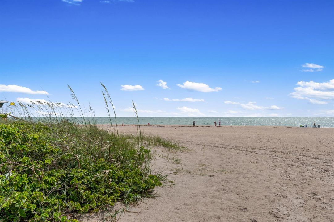 46_psl stock - beach