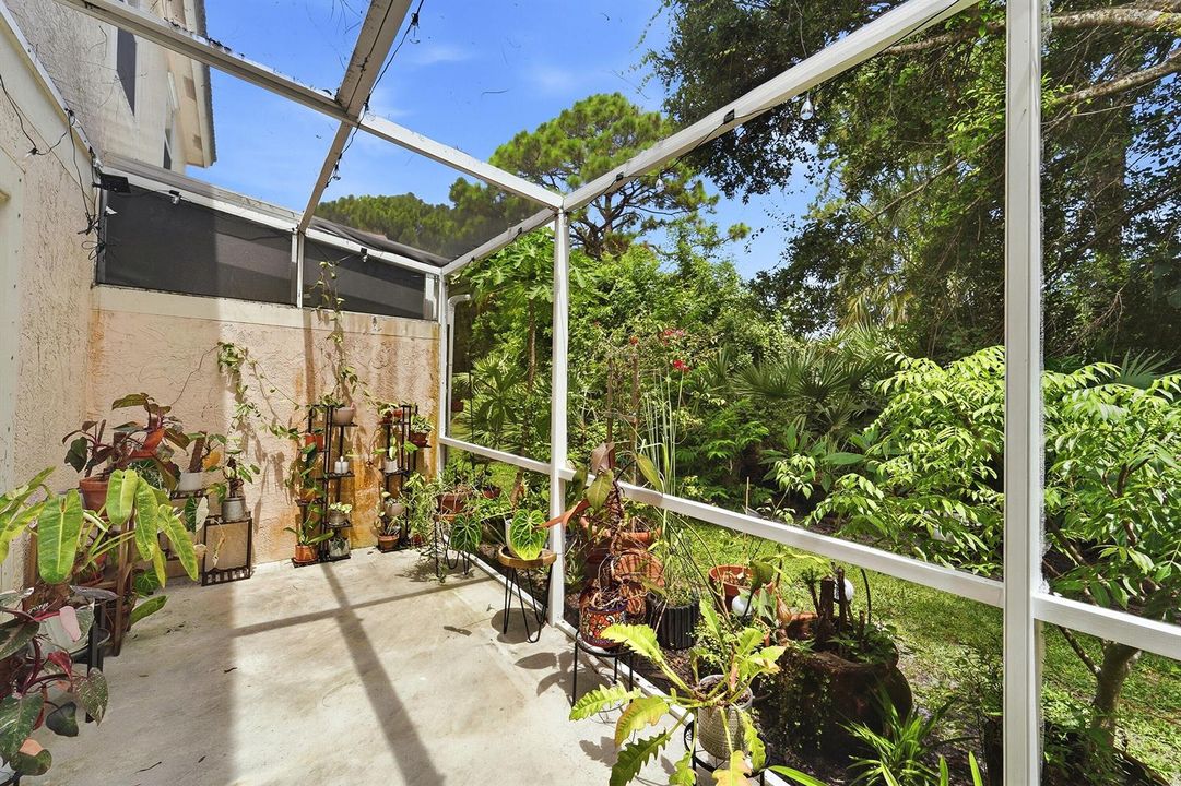 Rear Patio