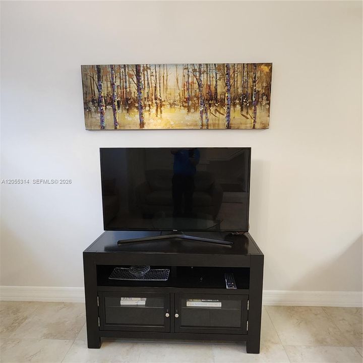 TV in Living Room