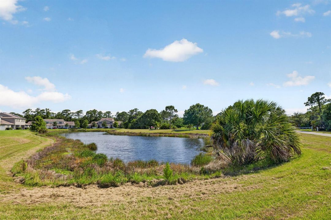 33-web-or-mls-3A5A8428