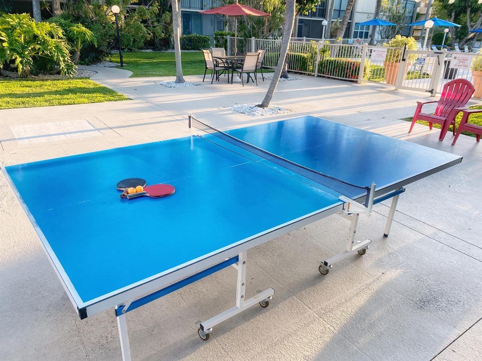 Ping Pong Table