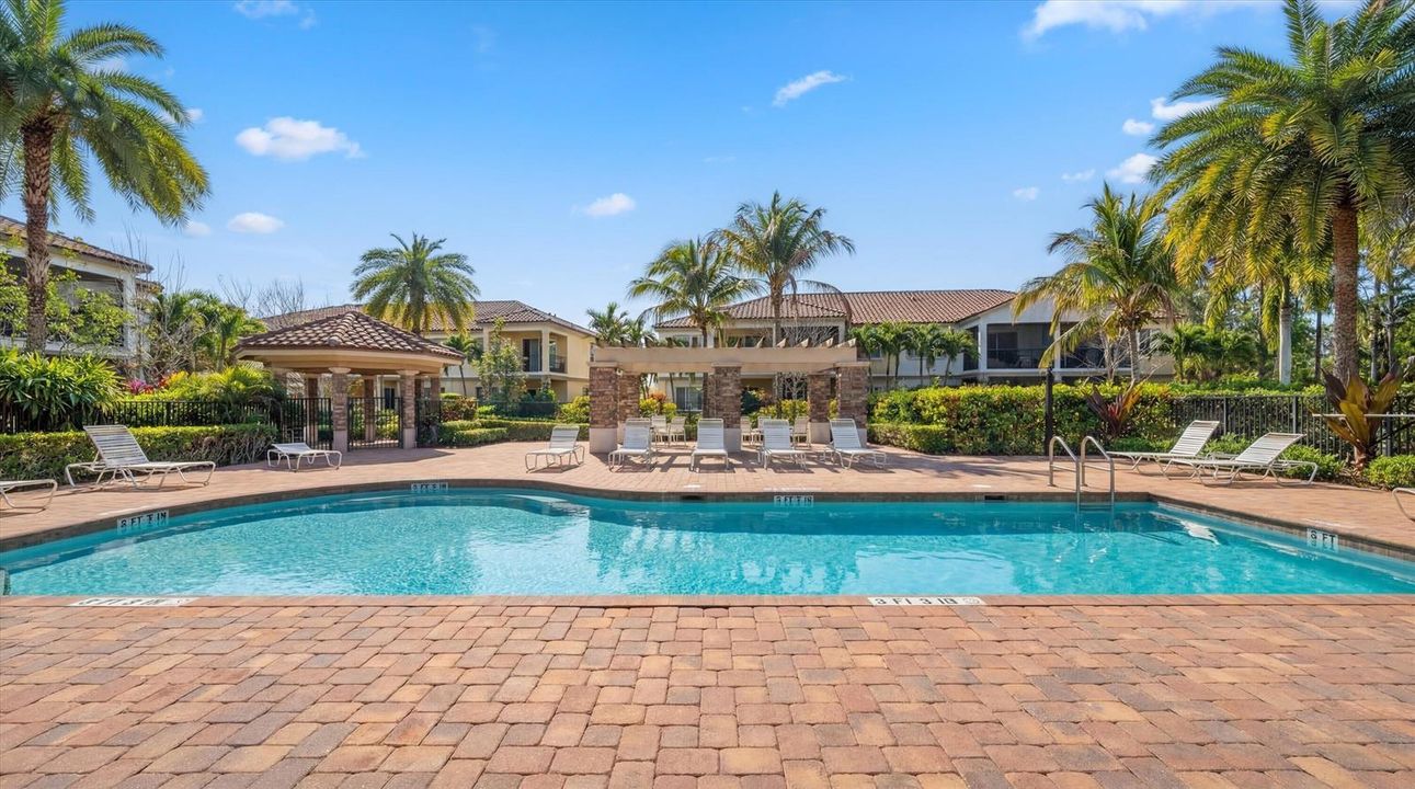 52-15600 Italian Cypress Wy