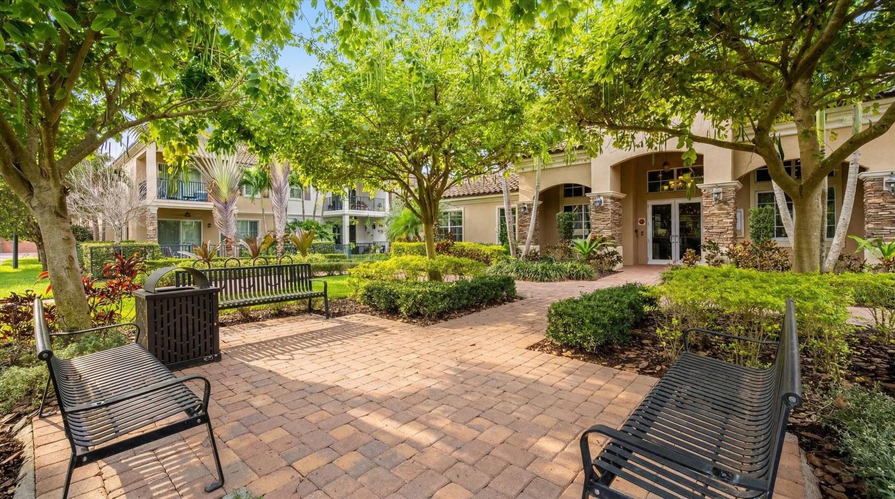 51-15600 Italian Cypress Wy