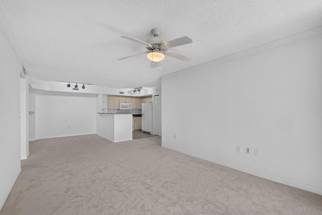 19-web-or-mls-5D1A0345