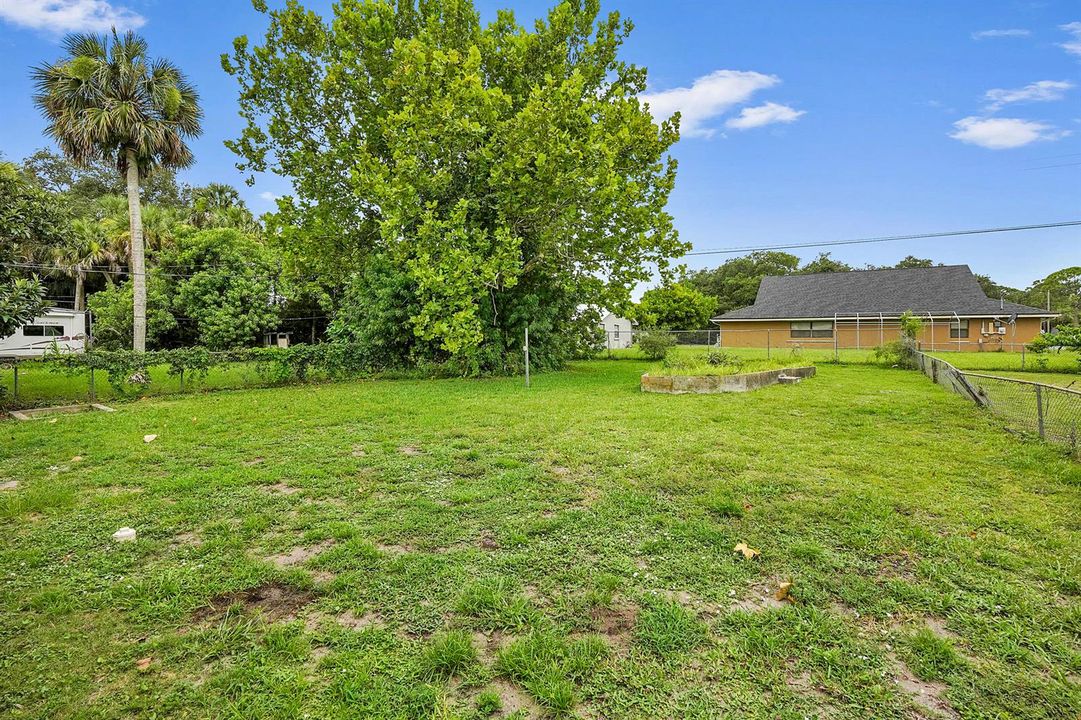 21 backyard 02